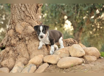 Darf Claudia an deiner Seite die Welt entdecken?