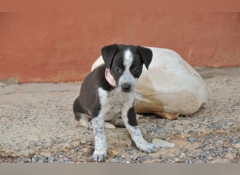 Darf Claudia an deiner Seite die Welt entdecken?