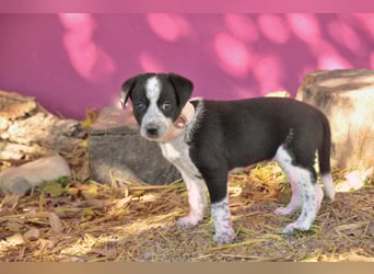 Darf Claudia an deiner Seite die Welt entdecken?