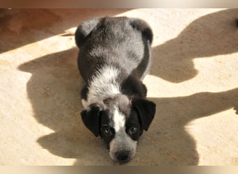 Darf Claudia an deiner Seite die Welt entdecken?