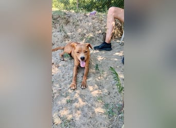 Lia die Weltentdeckerin sucht ihre Familie