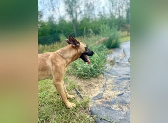 Bescheidene Klara sucht Liebe!