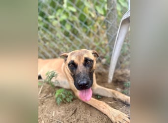 Bescheidene Klara sucht Liebe!