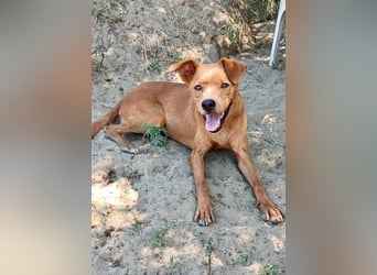 Lia die Weltentdeckerin sucht ihre Familie