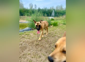 Bescheidene Klara sucht Liebe!