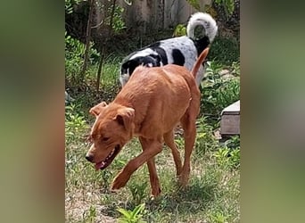 Lia die Weltentdeckerin sucht ihre Familie