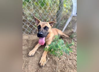 Bescheidene Klara sucht Liebe!