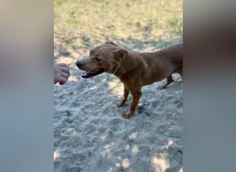 Lia die Weltentdeckerin sucht ihre Familie