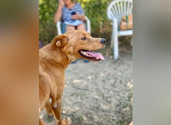 Lia die Weltentdeckerin sucht ihre Familie