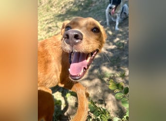 Lia die Weltentdeckerin sucht ihre Familie