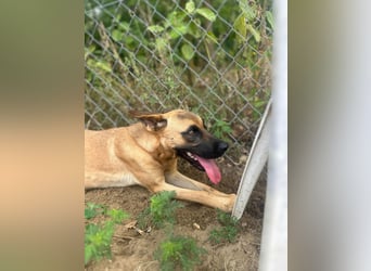 Bescheidene Klara sucht Liebe!