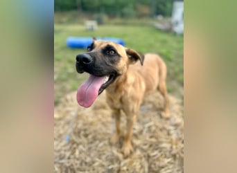 Bescheidene Klara sucht Liebe!