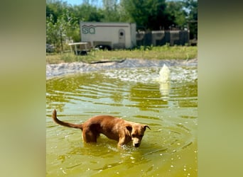 Lia die Weltentdeckerin sucht ihre Familie