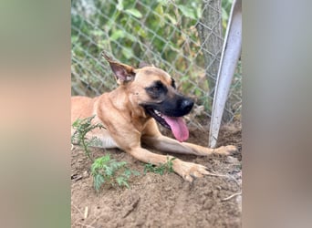 Bescheidene Klara sucht Liebe!