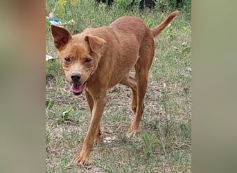 Lia die Weltentdeckerin sucht ihre Familie