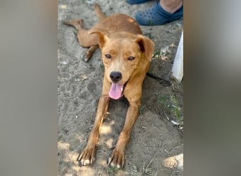 Lia die Weltentdeckerin sucht ihre Familie