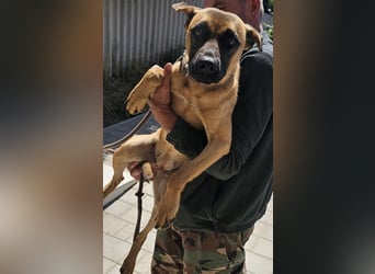 Bescheidene Klara sucht Liebe!