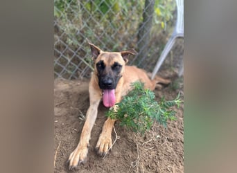 Bescheidene Klara sucht Liebe!