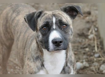 Zarter Niky wünscht sich Sicherheit