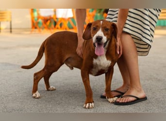 wunderbarerer Begleiter Loli