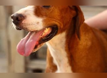 wunderbarerer Begleiter Loli