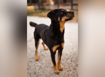 MALENA❤️sanfte, gehorsame Seele auf der Suche nach Geborgenheit