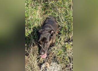 Goldige♥Godina♥ sozial,aktiv,lebensfroh♥