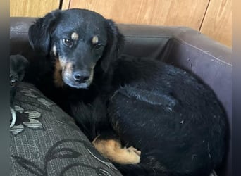 MALENA❤️sanfte, gehorsame Seele auf der Suche nach Geborgenheit