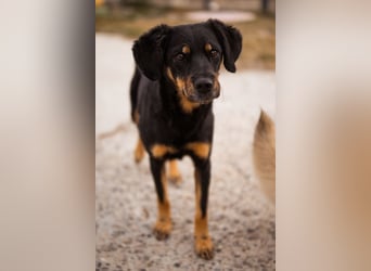 MALENA❤️sanfte, gehorsame Seele auf der Suche nach Geborgenheit