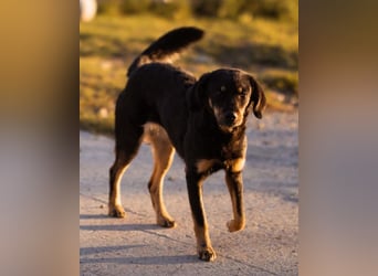 MALENA❤️sanfte, gehorsame Seele auf der Suche nach Geborgenheit