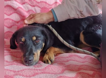 MALENA❤️sanfte, gehorsame Seele auf der Suche nach Geborgenheit