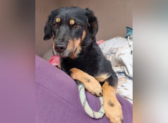 MALENA❤️sanfte, gehorsame Seele auf der Suche nach Geborgenheit