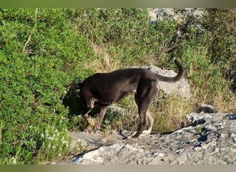 Goldige♥Godina♥ sozial,aktiv,lebensfroh♥