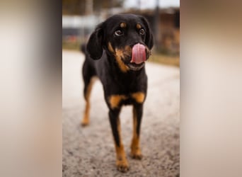 MALENA❤️sanfte, gehorsame Seele auf der Suche nach Geborgenheit