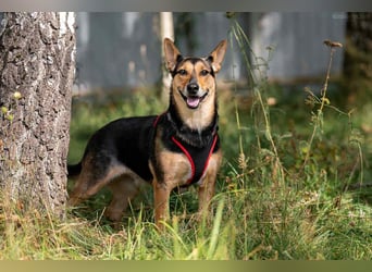 Soziale Rita sucht liebevolles Zuhause