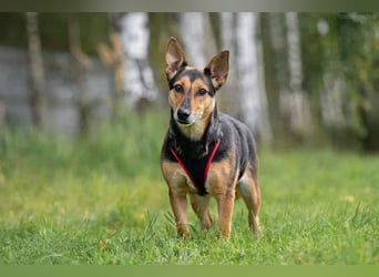 Soziale Rita sucht liebevolles Zuhause