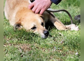 Stanwick - Nachholbedarf