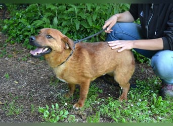 Monaldo - In der Ruhe liegt die Kraft!