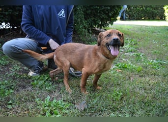 Monaldo - In der Ruhe liegt die Kraft!