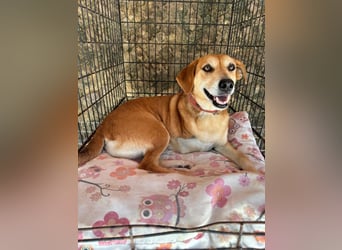 Fortuna - Glück wird mehr, wenn man es teilt