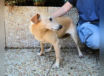 Walker - Die Geschichte vom verlorenen Schatten