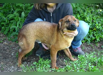 Monaldo - In der Ruhe liegt die Kraft!