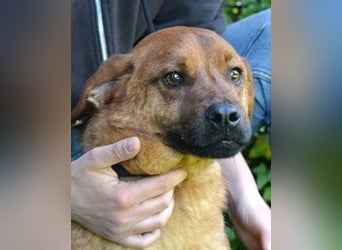 Monaldo - In der Ruhe liegt die Kraft!