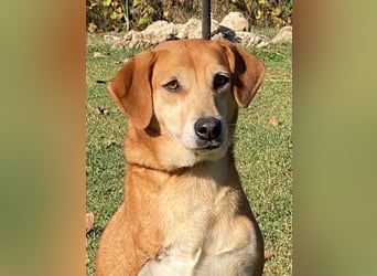 Fortuna - Glück wird mehr, wenn man es teilt