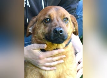 Monaldo - In der Ruhe liegt die Kraft!