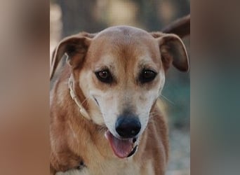 Fortuna - Glück wird mehr, wenn man es teilt