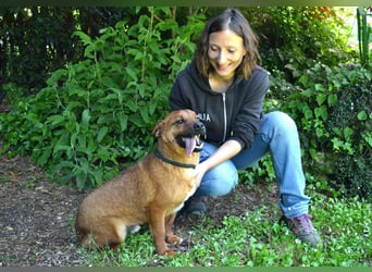 Monaldo - In der Ruhe liegt die Kraft!