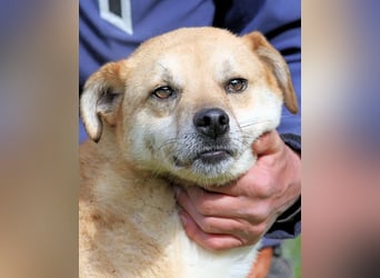 Stanwick - Nachholbedarf