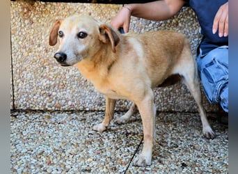 Walker - Die Geschichte vom verlorenen Schatten