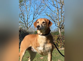 Fortuna - Glück wird mehr, wenn man es teilt